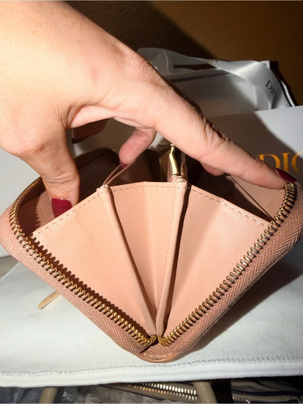 Dior Zip-Around Leather Wallet in Blush Pink